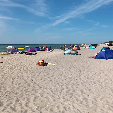 Cliff House Cliffclimber *